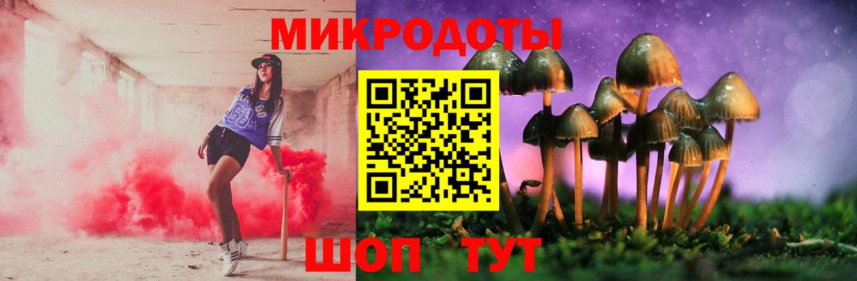 Псилоцибиновые грибы мухоморы Славгород