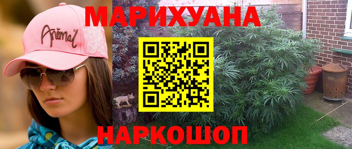 Шишки марихуана VHQ  Вход с VPN  Славгород  МАРИХУАНА Ganja  Шишки марихуана VHQ 
